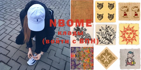 шишки Сатка