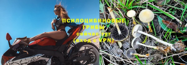 mdpv Сафоново