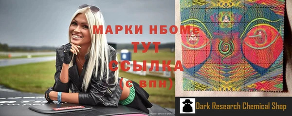 шишки Сатка