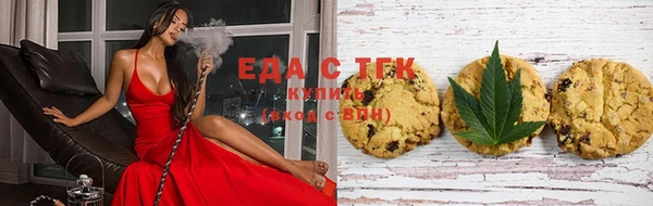 шишки Сатка