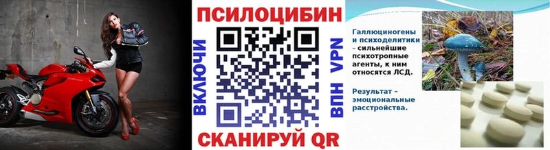 Галлюциногенные грибы Psilocybe  Купить закладки  Томмот 